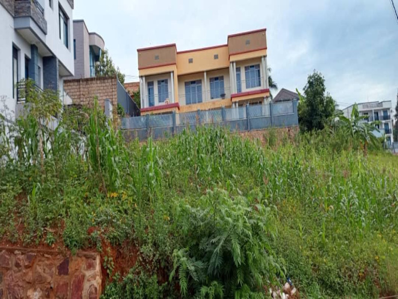 Hot deal for sale Rebero